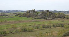 341_TZ60_P1100498_cr