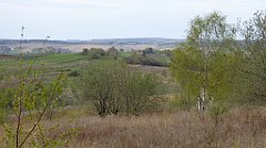 343_TZ60_P1100502_cr