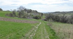 350_TZ60_P1100509_cr