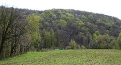 367_TZ60_P1100527_cr