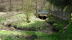 372_TZ60_P1100529_cr