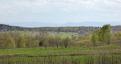 388_TZ60_P1100538_cr