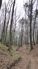 400_TZ60_P1100547_cr