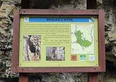 441_TZ60_P1100567_cr