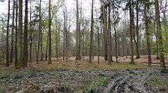 468_TZ60_P1100582_cr