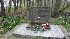 471_TZ60_P1100585_cr