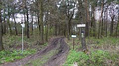 482_TZ60_P1100587_cr