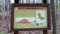 512_TZ60_P1100609_cr