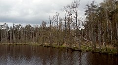 281_IMG_20160428_114107_cr