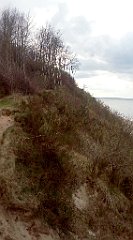 403b_IMG_20160428_152135_cr