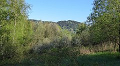 009_TZ60_P1100735_cr