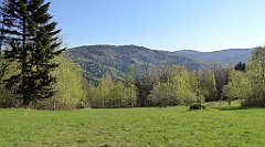 026_TZ60_P1100755_cr