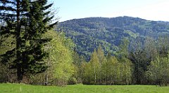 027_TZ60_P1100756_cr