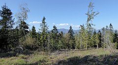 033_TZ60_P1100761_cr