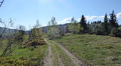 039_TZ60_P1100769_cr