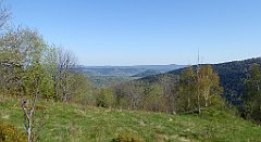 040_TZ60_P1100770_cr