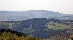 054_TZ60_P1100785_cr