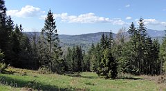 078_TZ60_P1100815_cr