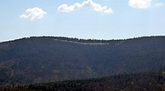 085_TZ60_P1100824_cr