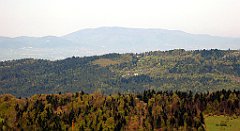 093_TZ60_P1100837_cr