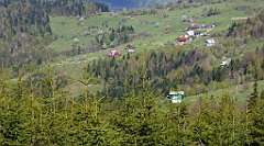 099_TZ60_P1100846_cr