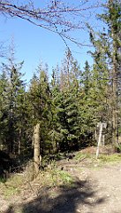 109_TZ60_P1100857_cr