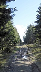 110_TZ60_P1100858_cr