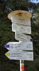 132_TZ60_P1100888_cr