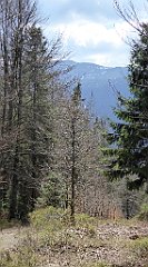 134_TZ60_P1100890_cr