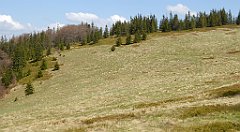 144_TZ60_P1100905_cr