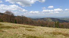 149_TZ60_P1100911_cr