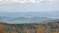 151_TZ60_P1100914_cr