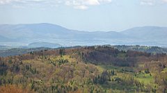 152_TZ60_P1100917_cr