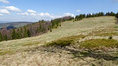 155_TZ60_P1100921_cr