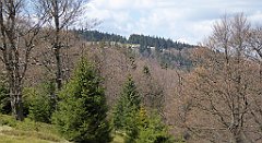 157_TZ60_P1100923_cr