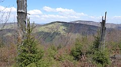 165_TZ60_P1100931_cr