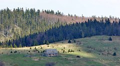 167_TZ60_P1100933_cr