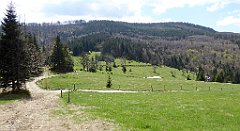 174_TZ60_P1100940_cr