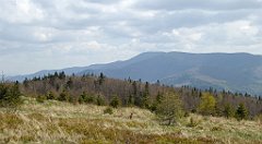 179_TZ60_P1100945_cr