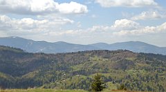 187_TZ60_P1100963_cr