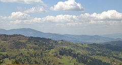 188_TZ60_P1100965_cr