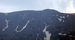 198_TZ60_P1100985_cr