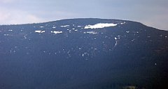 199_TZ60_P1100986_cr