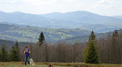 219_TZ60_P1110008_cr