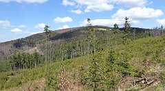 246_TZ60_P1110046_cr