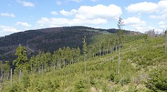 248_TZ60_P1110048_cr