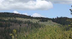 249_TZ60_P1110049_cr