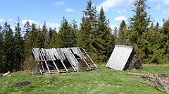 262_TZ60_P1110062_cr