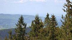 268_TZ60_P1110072_cr