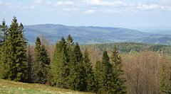 273_TZ60_P1110077_cr